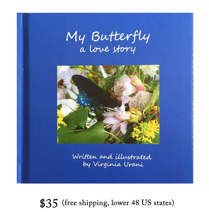 My Butterfly Book Image